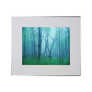 y󔭒izA~z M[ A4 AGY-A4 ubN/Vo[/i` PR[EgLi[