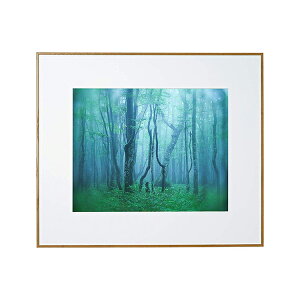 y󔭒izA~z M[ A4 AGY-A4 ubN/Vo[/i` PR[EgLi[