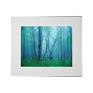 yszy󔭒izA~z M[ S AGY-Z ubN/Vo[/i` PR[EgLi[y^Kpz