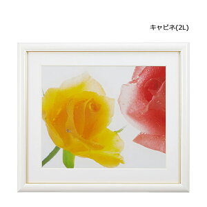 y󔭒iztHgt[ Lrl 2L A[gt[zCg tWJ[ FUJICOLOR