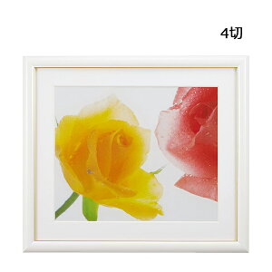 y󔭒iztHgt[ 4 A[gt[zCg tWJ[ FUJICOLOR