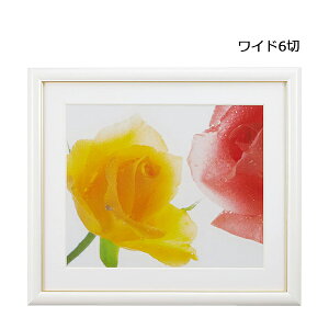 y󔭒iztHgt[ Ch6 A[gt[zCg tWJ[ FUJICOLOR