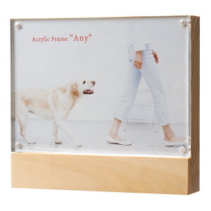 ANt[ any 2L }Olbg tHgt[ ʐ^ AN   NA  Gj[ L  Vv g₷  