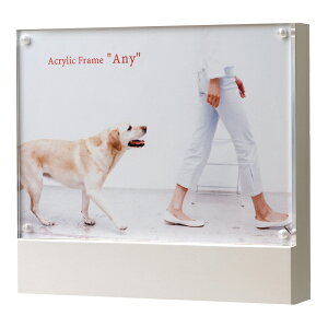 ANt[ any 2L }Olbg tHgt[ ʐ^ AN   NA  Gj[ L  Vv g₷  