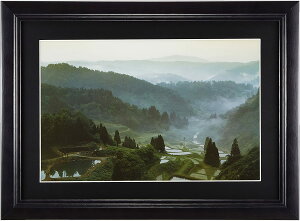 �y�󔭒��i�z�t�W�J���[ FUJICOLOR �ؐ��z�� YM-1 �u���b�N ���C�h6��