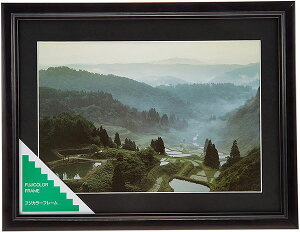 y󔭒iztWJ[ FUJICOLOR ؐz YM-1 ubN Ch4