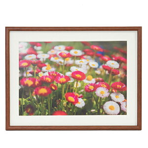 y󔭒iztWJ[ FUJICOLOR ؐz M21 uE Ch4