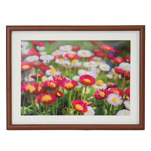 y󔭒iztWJ[ FUJICOLOR ؐz M21 uE A4