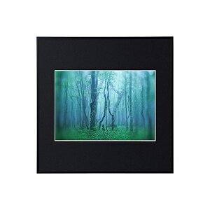 PR[EgLi[ Ǌ|tHgt[Ez A~z M[ A4XNGA ubN AGY-A4SQ-BK Vo[ AGY-A4SQ-SV i` AGY-A4SQ-NAy󔭒iz