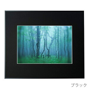 y󔭒izPR[EgLi[ Ǌ|tHgt[Ez A~z M[ A3 ubN AGY-A3-BK Vo[ AGY-A3-SV i` AGY-A3-NA