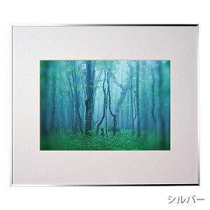 y󔭒izPR[EgLi[ Ǌ|tHgt[Ez A~z M[ A3 ubN AGY-A3-BK Vo[ AGY-A3-SV i` AGY-A3-NA