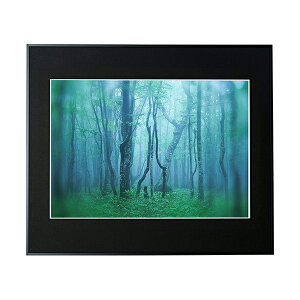 y󔭒izPR[EgLi[ Ǌ|tHgt[Ez A~z M[ A2 AGY-A2 ubN/Vo[/i` PR[EgLi[