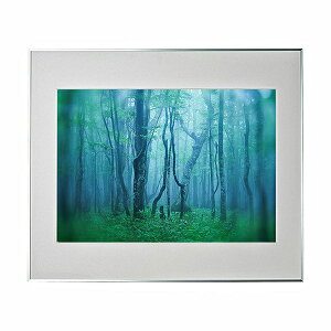 y󔭒izPR[EgLi[ Ǌ|tHgt[Ez A~z M[ A2 AGY-A2 ubN/Vo[/i` PR[EgLi[