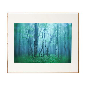 y󔭒izPR[EgLi[ Ǌ|tHgt[Ez A~z M[ A2 AGY-A2 ubN/Vo[/i` PR[EgLi[