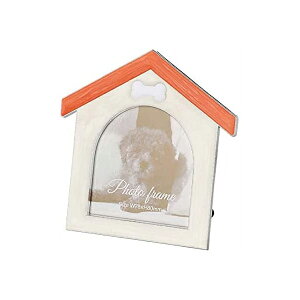 y󔭒iztHgt[ ʐ^  Aj} Ck F-TA-112 tHgt[ iJoV bL  z ybg L Lbg hbO fR uC_ LL rO _C