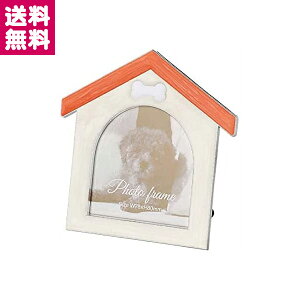 y󔭒iztHgt[ ʐ^  Aj} Ck F-TA-112 tHgt[ iJoV bL  z ybg L Lbg hbO fR uC_ LL rO _C