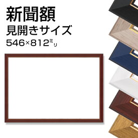 新聞額 見開きサイズ 全6色 546x812mm 新聞 飾る フレーム 額縁 額装 広告 壁掛け 送料無料