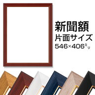 新聞額 片面サイズ 全6色 546x406mm 新聞 飾る フレーム 額縁 額装 広告 壁掛け 送料無料
