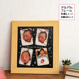 アルバム台紙をそのまま飾れる アルバム台紙フレーム 台紙Lサイズ/MADF-L-N 台紙A4サイズ/MADD-A4-N ナチュラル ナカバヤシ 受発注商品