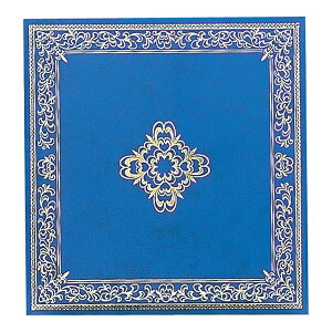 y󔭒iziJoV tGAoDigio [Y STCY A-SF(//)