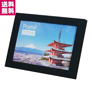 ���� �|�X�g�J�[�h�p�t���[�� �������ɏ���₷���t�H�g�t���[�� ���i���f���� �u���̂� �c�����p ���t�� �i�`������ �u���E�� ���b�h �S�[���h �u���b�N POSTIE Postie �|�X�e�B ��z�� �䂤�p