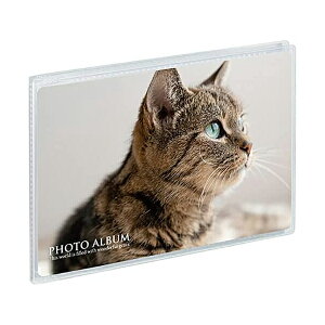 ZLZC |PbgAo lR ʐ^p  ~j|P tHgAo  KGTCY  nKLE|XgJ[h 104×154mm 20[ NA KP-7006