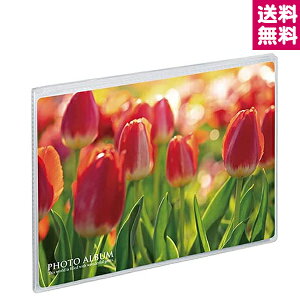 ZLZC |PbgAo ʐ^p iF iʐ^ i ~j|P tHgAo  2LTCY  129×180mm 20[ NA KP-7008yzցzy䂤pPbg֑zyIׂzz