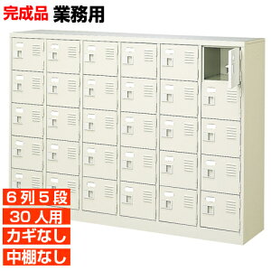 yƖpʔ Yi 30lp  CztEȂ IȂ Ɏg銮i j fÏȂǂ 65i ItBX BRI