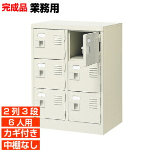 【 6人用 業務用下駄箱 日本製 下駄箱】扉付き 鍵あり 中棚なし 2列3段 体育館 BRI