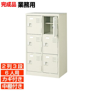 【下駄箱 鍵付き 業務用 6人用 国産靴入れ】扉付き 中棚付き 靴収納 下足入れ 2列3段 学校 BRI