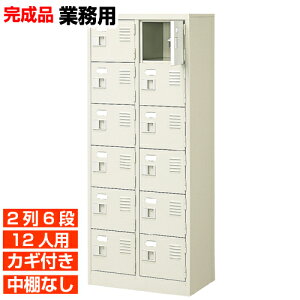 �y12�l�p �Ɩ��p���ʔ� ���{�� �������z���t�� ������ ���I�Ȃ� 2��6�i �̈�� BRI