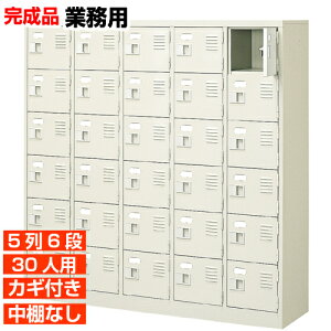 �y30�l�p �Ɩ��p���ʔ� ���{�� ��������z���t�� ������ ���I�Ȃ� 5��6�i �̈�� BRI