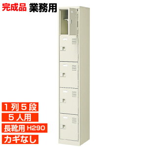 yƖpʔ Cp i 5lp zCpC u[c OV[Y It  15i 5lp H BRI