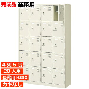 yƖpʔ Cp i 20lp SzCpC u[c OV[Y It  45i 20lp H BRI