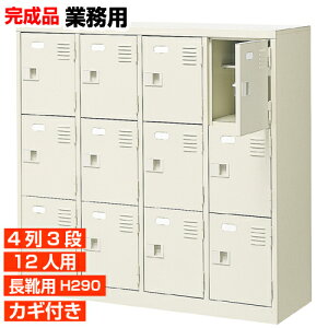 yƖpʔ Cp i 12lp vzCp u[c OV[Y It t 43i 12lp H BRI