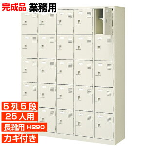 yƖpʔ Cp i 25lp zCpC u[c OV[Y It t 55i 25lp H BRI