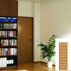 m^ {I ǖʏ I[vrO[ UX ˂{I ^{I 250D1`259D1cm45`59cms40cm WIi1.7cmj ^{I {I  51 cm @ w