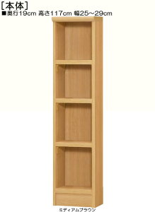 Ԗ{I 117cm25`29cms19cmIiI2.5cmjrfIƋ X܃fBXvC ǂł{I Ԗ{I vȒIbN Ԗ{I {I  25 cm @ w