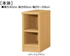 { 60cm25`29cms40cmIiI2.5cmjCDbN ʏVFt 1cmPʂłw vȒI{I { [I  28 cm TCY 