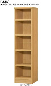 VFt 149D9cm30`44cms40cmIiI2.5cmj[ ڊԃbN 1cmPʂłw ݂ɂIVFt VFt {I  35 cm  w