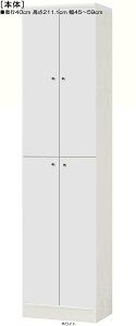 全面扉全面扉付きファイルキャビネット 高さ211.1cm幅45〜59cm奥行40cm 上下共両開き 全面扉付ロビーラック 本棚 幅 47 cm 寸法 指定