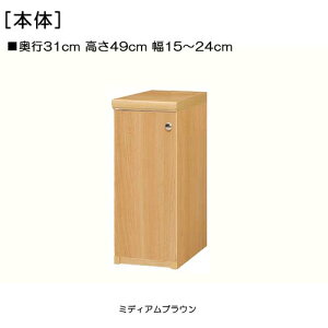 SʔԂ܎[ 49cm15`24cms31cmIiI2.5cmj ЊJ(J/EJ) Sʔt[˃fBXvC I  22 cm  