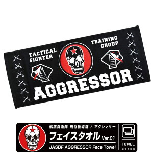 q󎩉q sQ AObT[ tFCX ^I Ver.01 JASDF AGGRESSOR hN Ru Gu S O X|[c W[ q F-15 TFTG 퓬@ s@ Ђ q ~^[ t