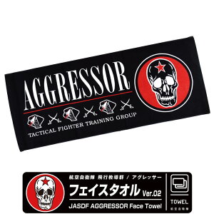 q󎩉q sQ AObT[ tFCX ^I Ver.02 JASDF AGGRESSOR hN Ru Gu S O X|[c W[ q F-15 TFTG 퓬@ s@ Ђ q ~^[ t