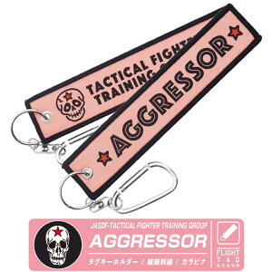 q󎩉q AObT[ Ver.02 ^O L[z_[ Jrit JASDF AGGRESSOR sQ s hN Ru q S }[N Gu F-15 퓬@ n ~^[ tCg^