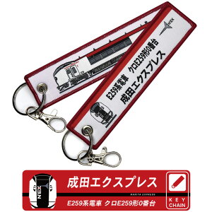 d L[`F[ L[z_[ ^OcGNXvX E259 NEX lbNXE259ndԃNE259`0ԑ `}NARITA EXPRESSiXJt @׎hJ tCg tagS d gC TRAIN JR keychain goods A