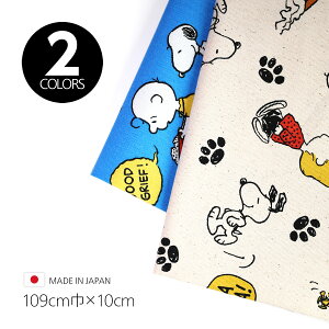 YIbNXnwXk[s[ pEpbhx109cm×10cmPʁy2FWJz