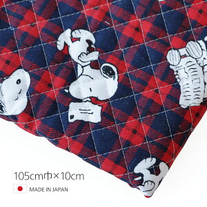 YLeBOwXk[s[ `FbN bhx 105cm×10cmP