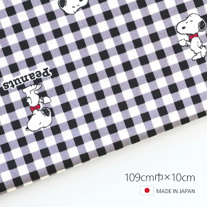 YV[`OwXk[s[ MK ubNx 109cm×10cmP