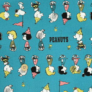 YIbNXwXk[s[ p[h u[O[x 109cm×10cmP n/z